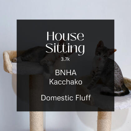 house sitting. 3.7k. bnha. kacchako. domestic fluff